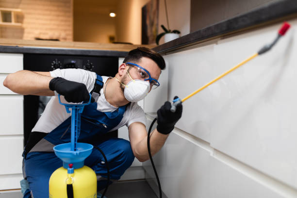 Best Pest Inspection Near Me  in Dixon, KY