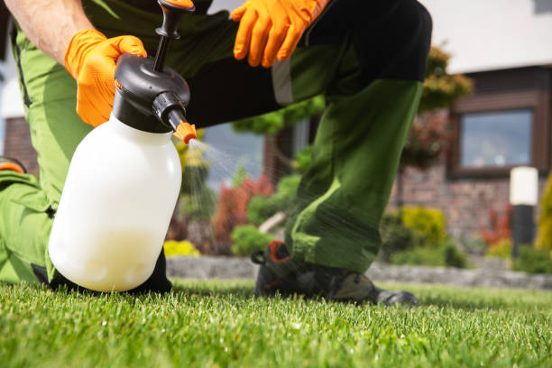 Insect Control in Dixon, KY