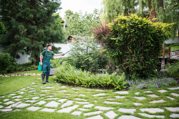 Best Best Pest Control Companies  in Dixon, KY