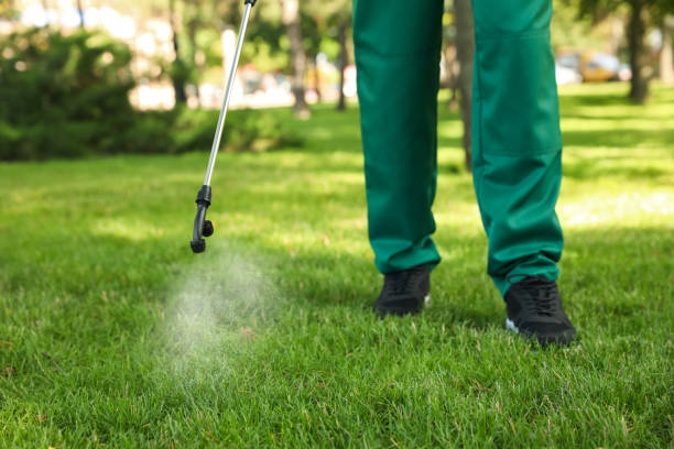 Insect Control in Dixon, KY