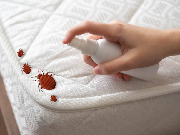 Best Cockroach Control Services  in Dixon, KY