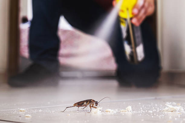 Best Exterminator Services  in Dixon, KY